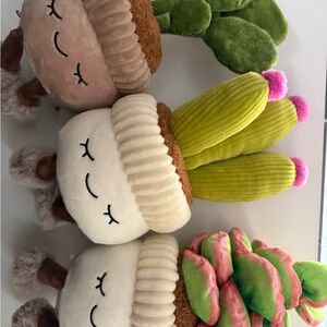 Greenhouse by Russ Succulent Plush set of 3